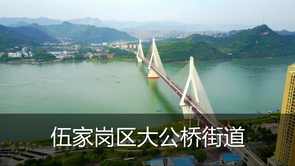 伍家岗区大公桥街道
